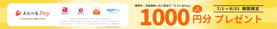 選べるPay1000円分プレゼント