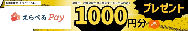 選べるPay1000円分プレゼント