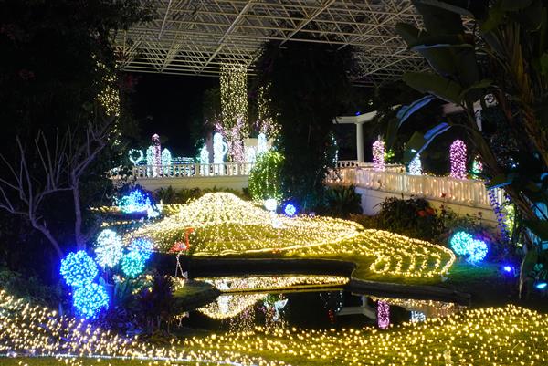 【指宿市】フラワーパークイルミネーション2025