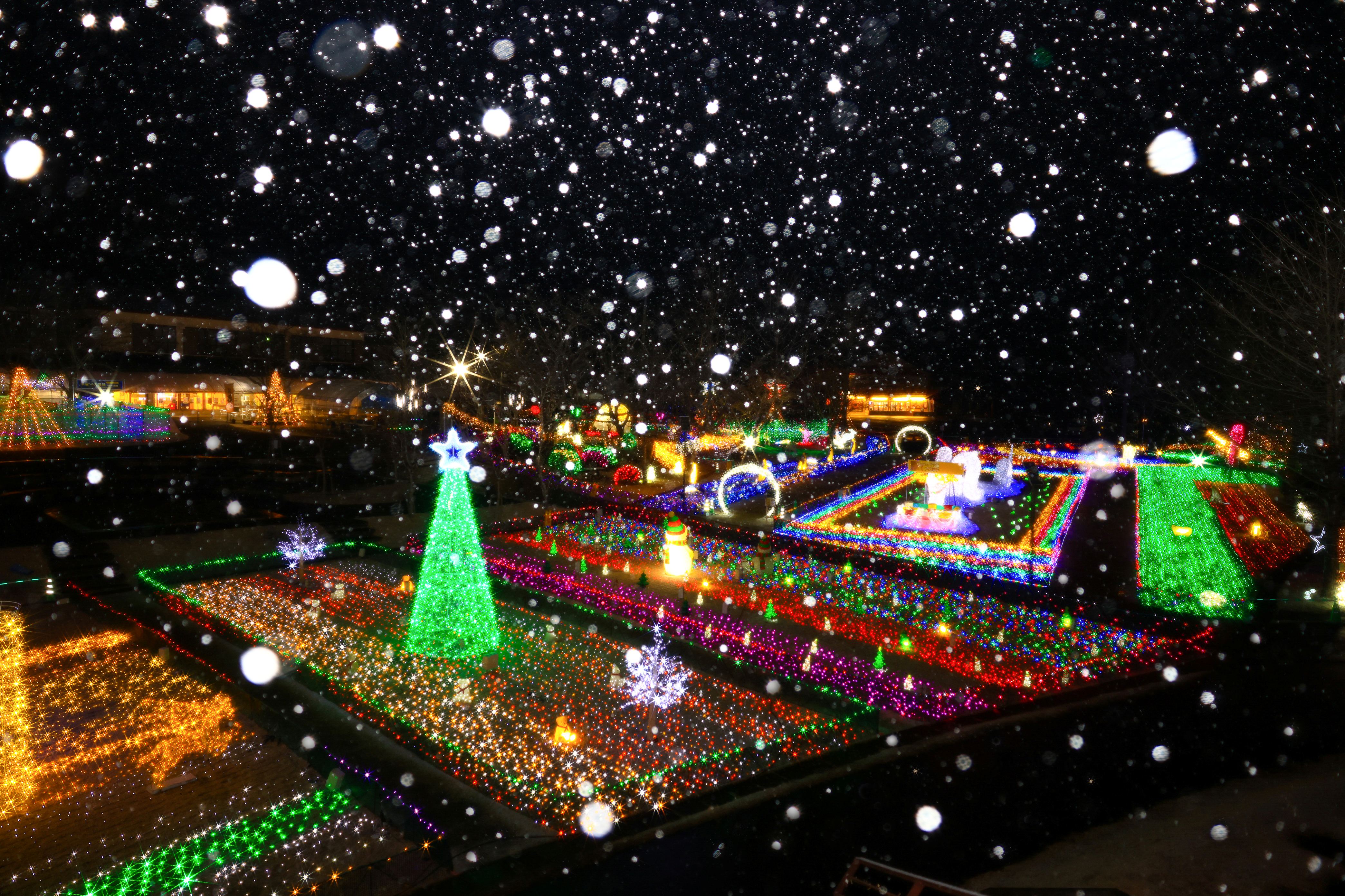 曽木の滝イルミネーション 「写真協力:公益社団法人 鹿児島県観光連盟」